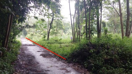 Tanah Pekarangan 1400 Meter Persegi Cocok Untuk Homestay Lokasi Candibinangun Ngaglik Sleman