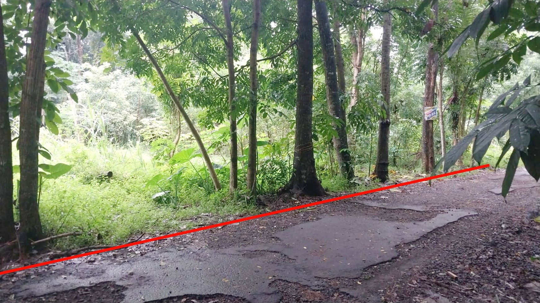 Tanah Pekarangan 1400 Meter Persegi Cocok Untuk Homestay Lokasi Candibinangun Ngaglik Sleman