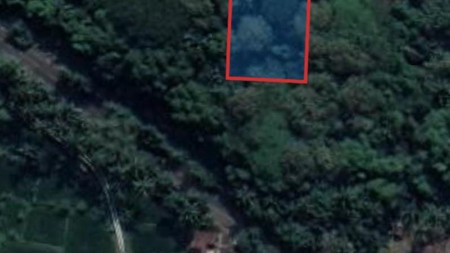 Tanah 619 Meter Persegi Cocok Untuk Usaha Lokasi Dekat Pasar Milir Kedungsari Pengasih Kulonprogo