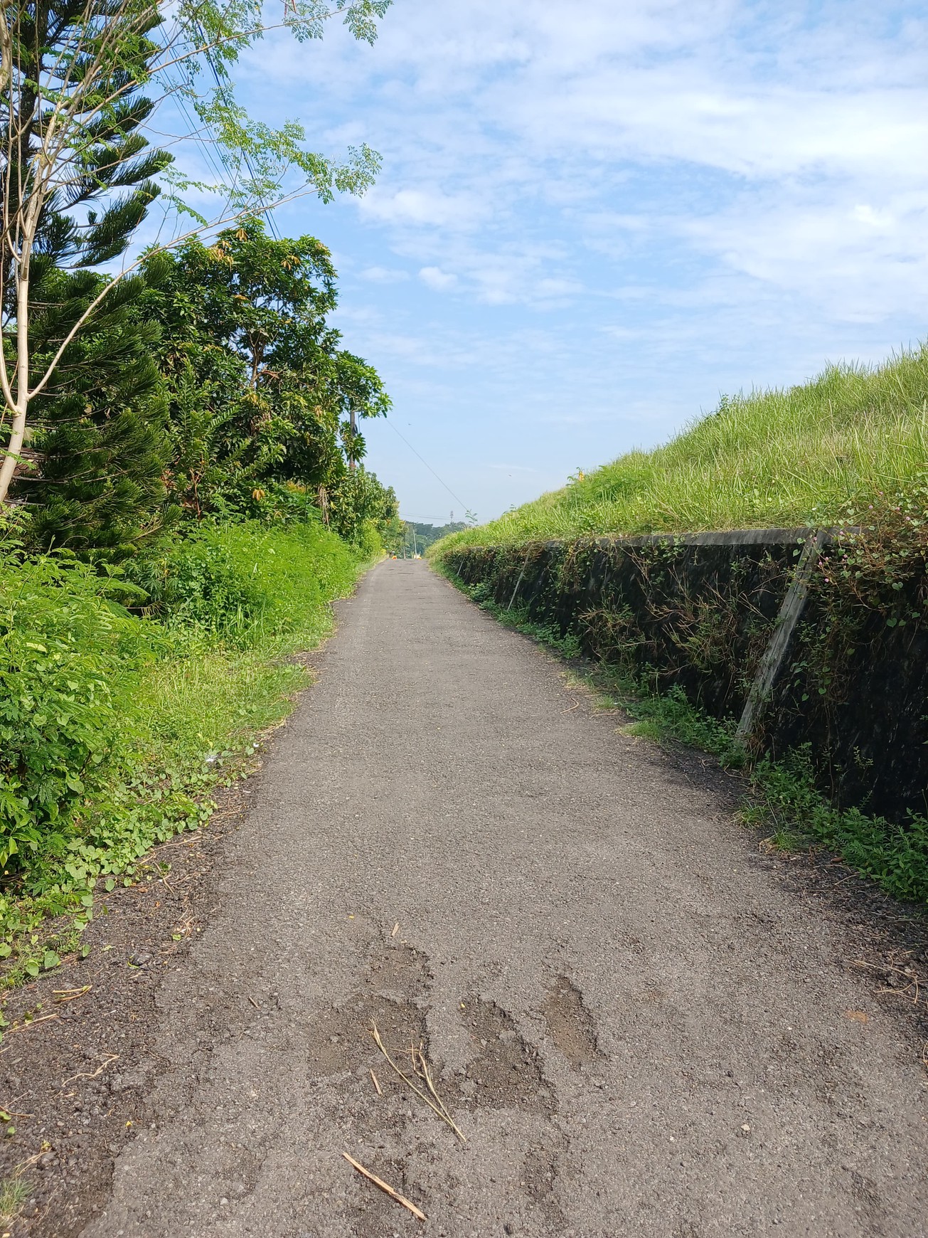 Tanah 619 Meter Persegi Cocok Untuk Usaha Lokasi Dekat Pasar Milir Kedungsari Pengasih Kulonprogo