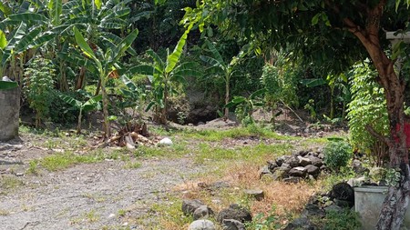 Tanah 200 Meter Lokasi Strategis Area Kampus UGM Sinduadi Mlati Sleman