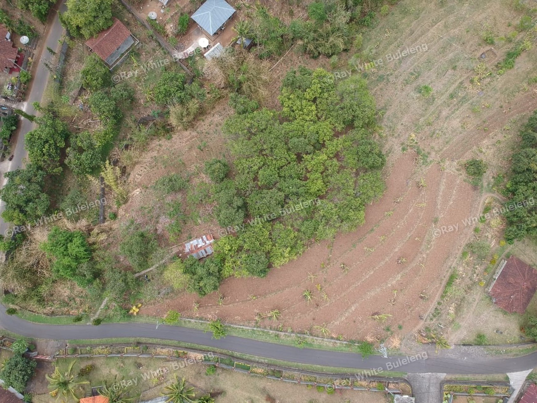 "URGENT" price dropped from 145.000 euros to 95.000 euros for this plot in Lovina Hills