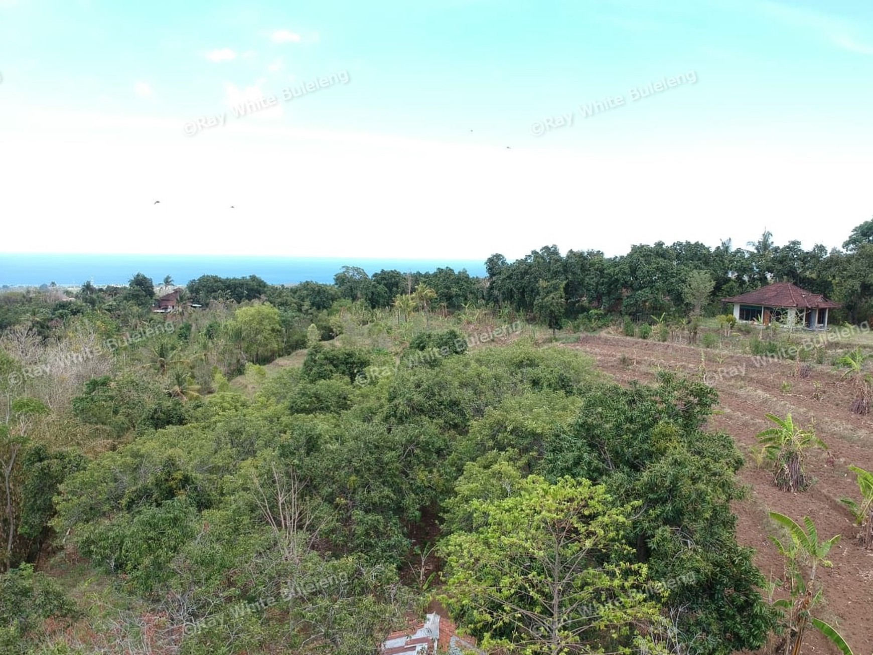 "URGENT" price dropped from 145.000 euros to 95.000 euros for this plot in Lovina Hills