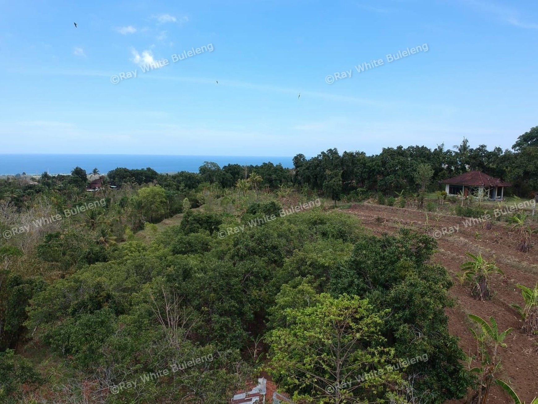 "URGENT" price dropped from 145.000 euros to 95.000 euros for this plot in Lovina Hills
