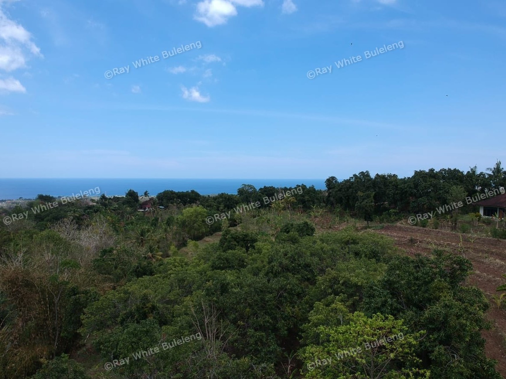 "URGENT" price dropped from 145.000 euros to 95.000 euros for this plot in Lovina Hills