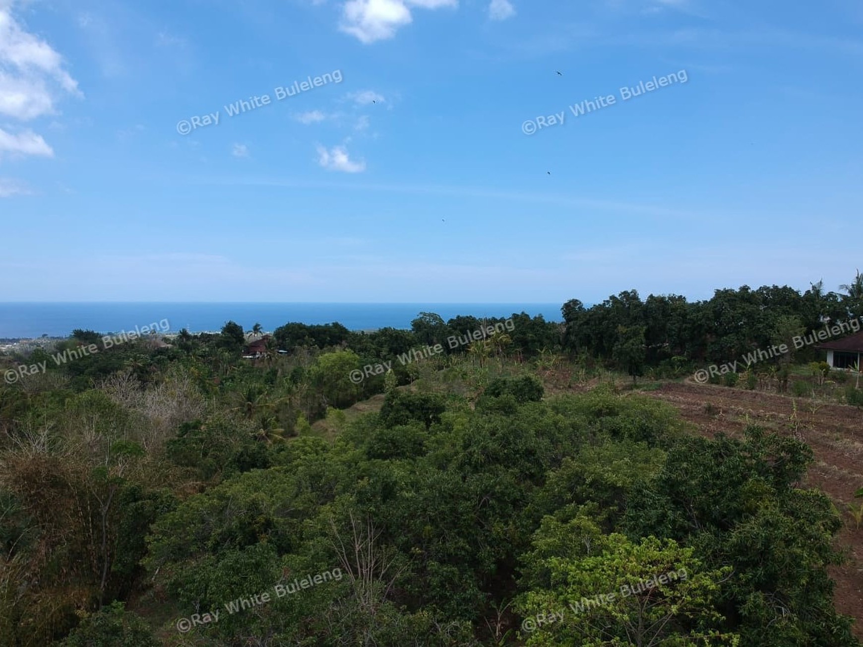 "URGENT" price dropped from 145.000 euros to 95.000 euros for this plot in Lovina Hills