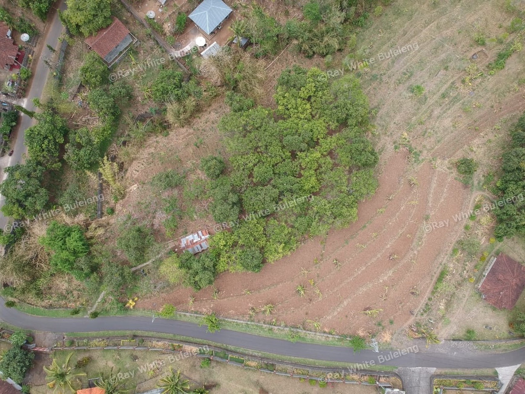 "URGENT" price dropped from 145.000 euros to 95.000 euros for this plot in Lovina Hills