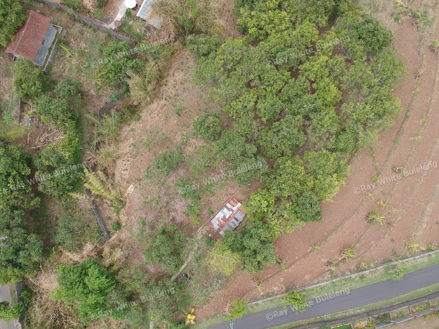 "URGENT" price dropped from 145.000 euros to 95.000 euros for this plot in Lovina Hills