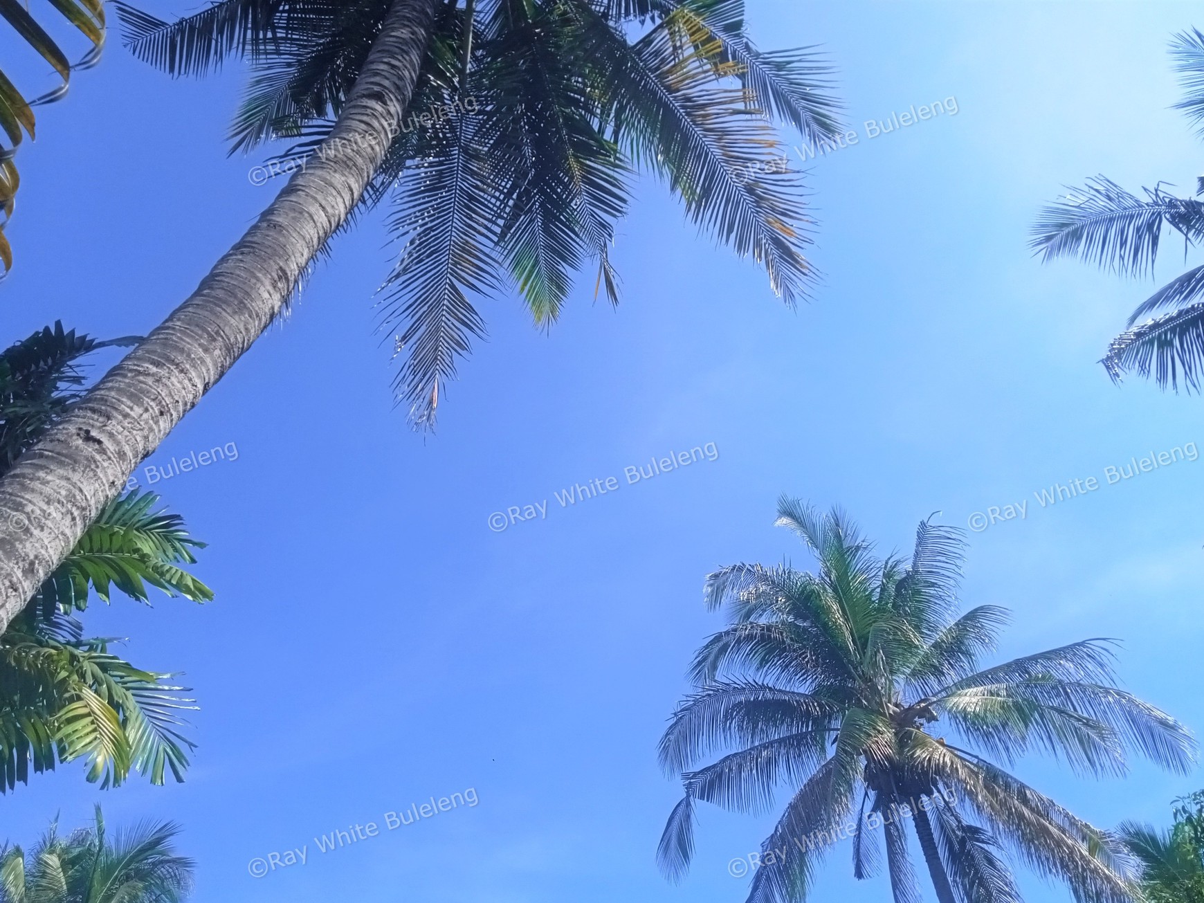 Escape to Lovina 2-Story Villa & Expansive Land