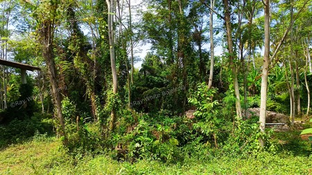 Prime Commercial Land in West Bali For Sale