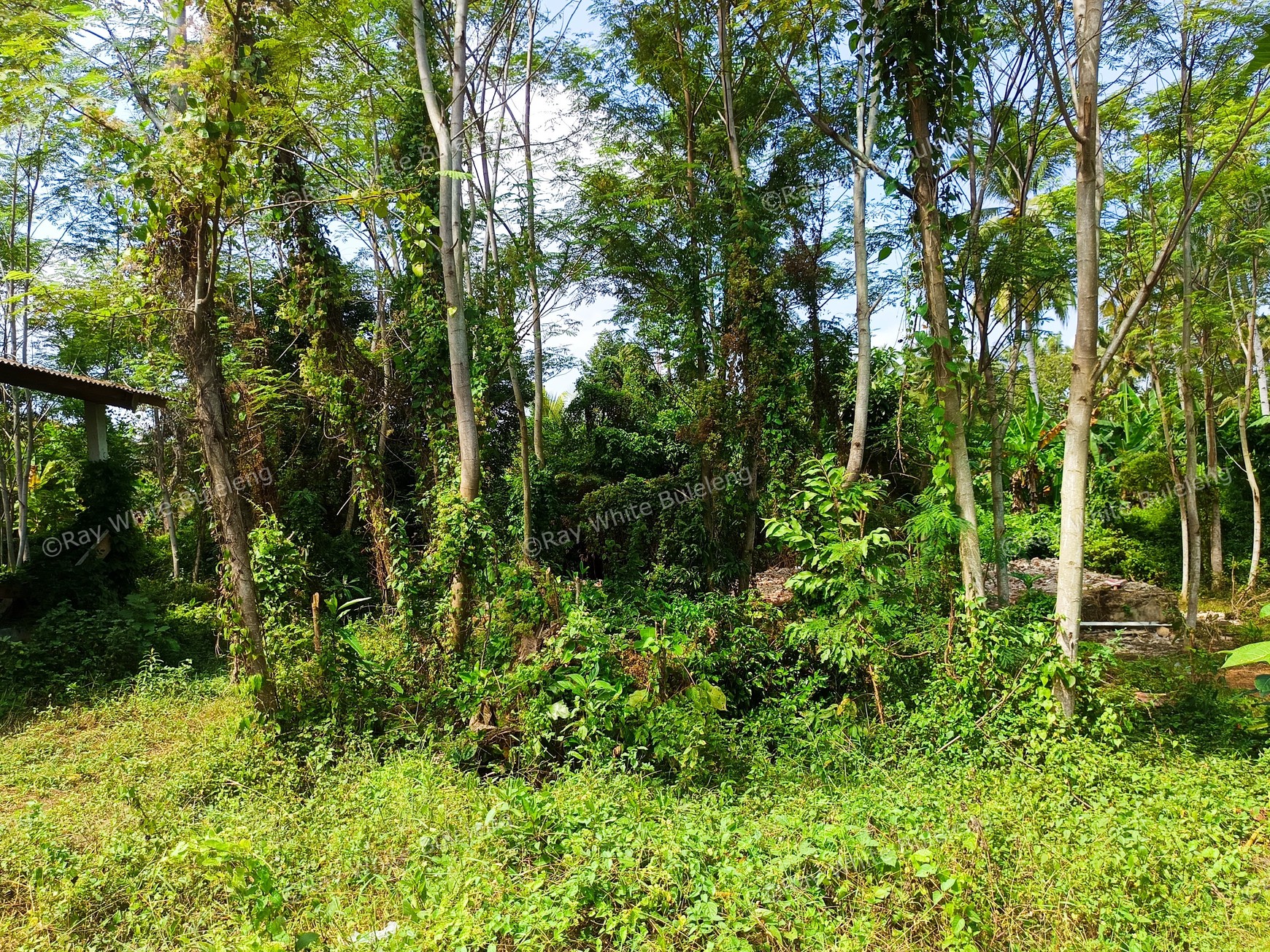 Prime Commercial Land in West Bali For Sale