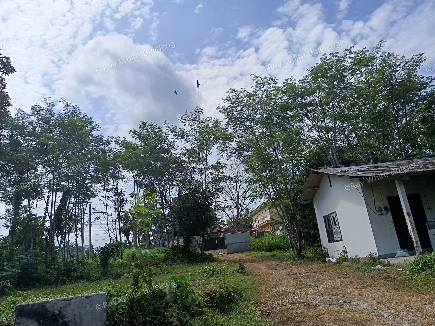 Prime Commercial Land in West Bali For Sale