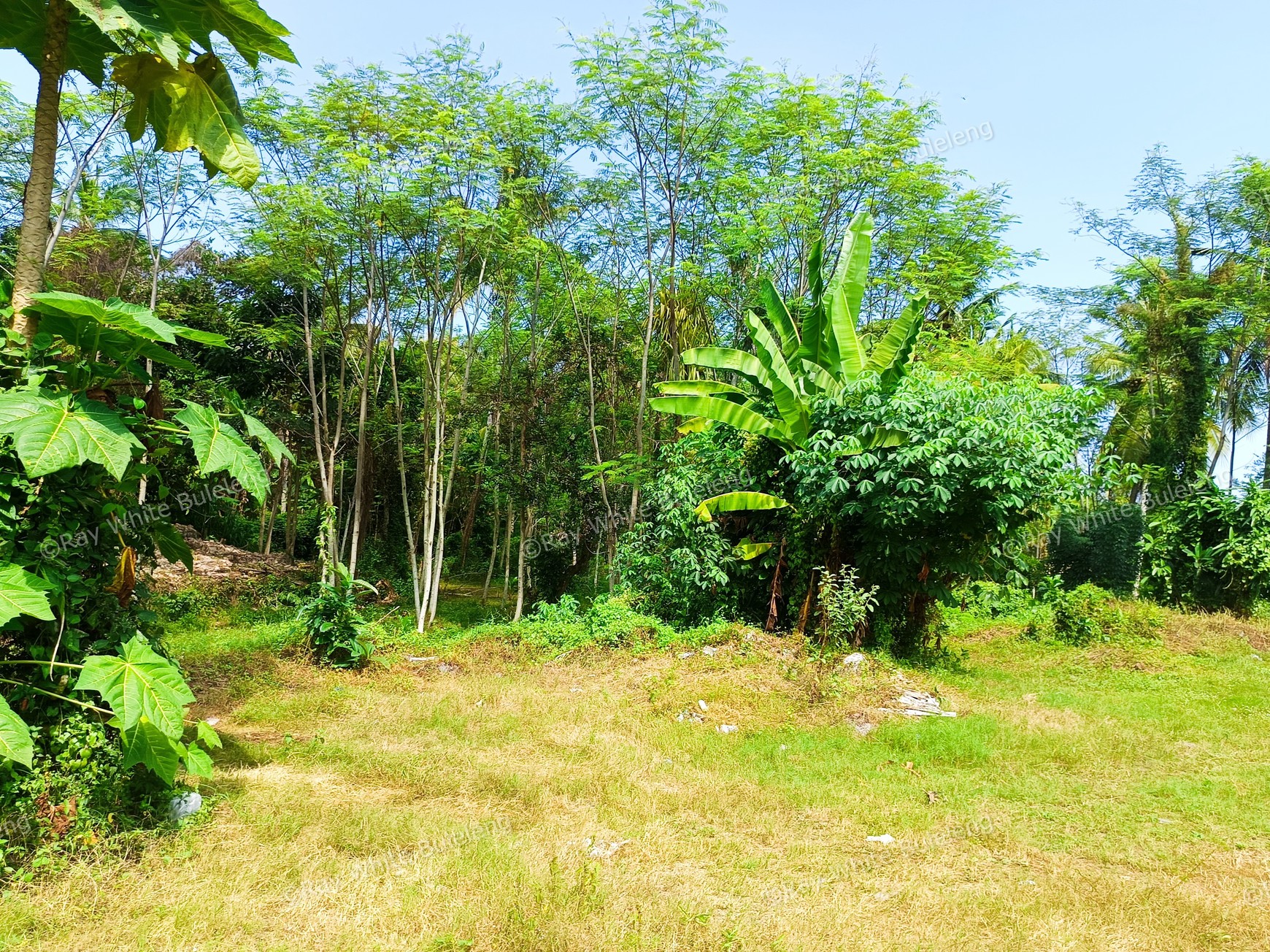 Prime Commercial Land in West Bali For Sale
