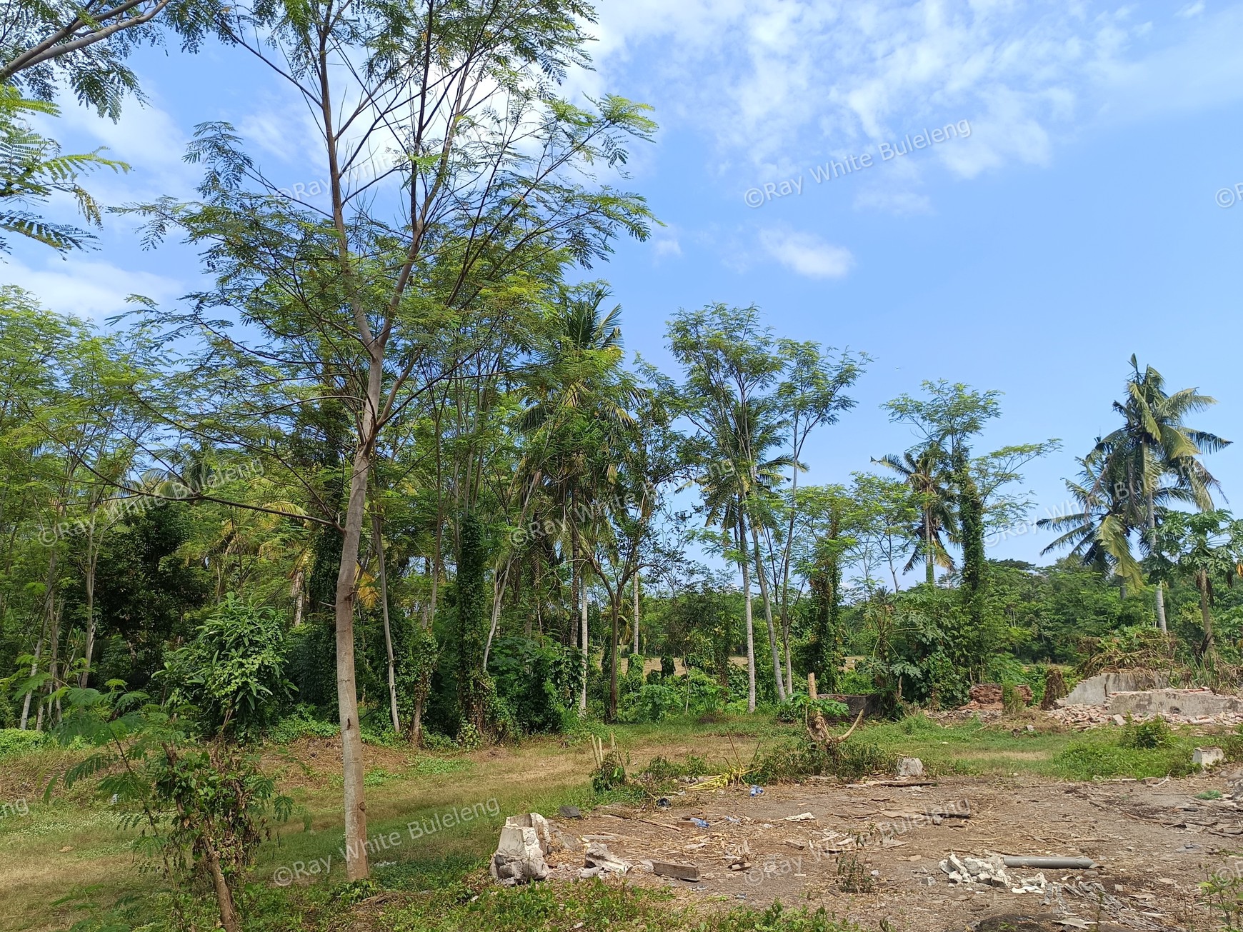 Prime Commercial Land in West Bali For Sale