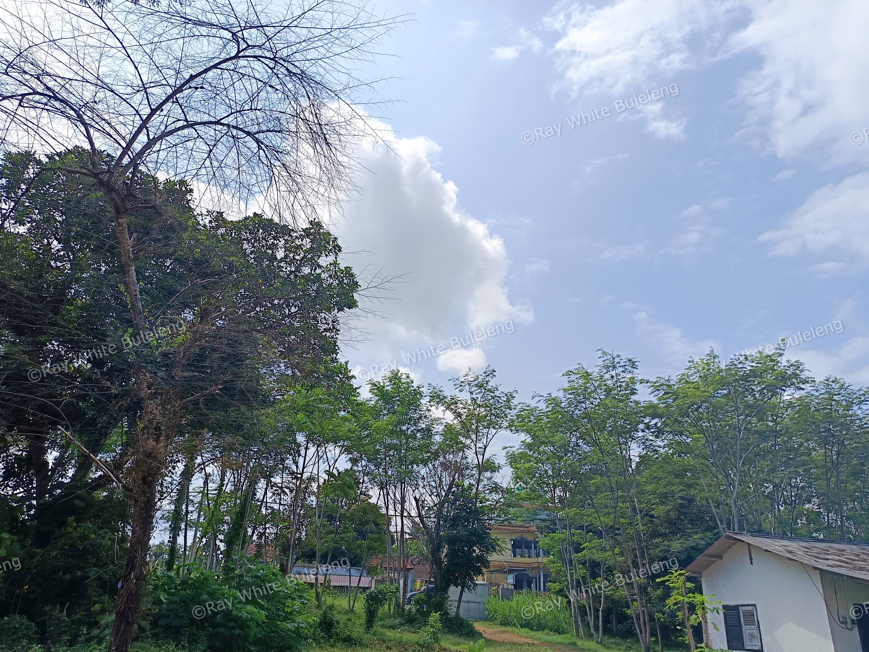 Prime Commercial Land in West Bali For Sale