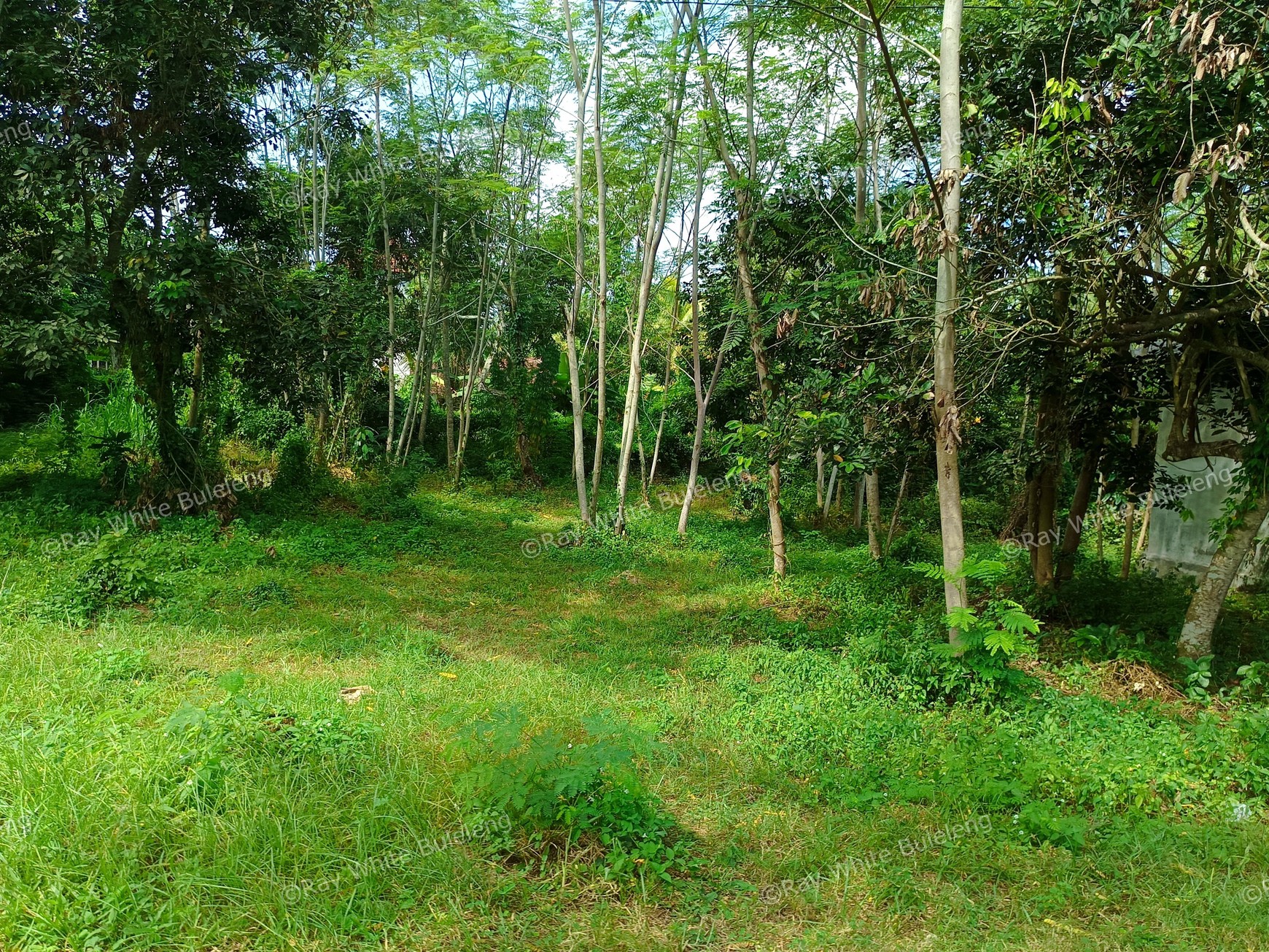Prime Commercial Land in West Bali For Sale