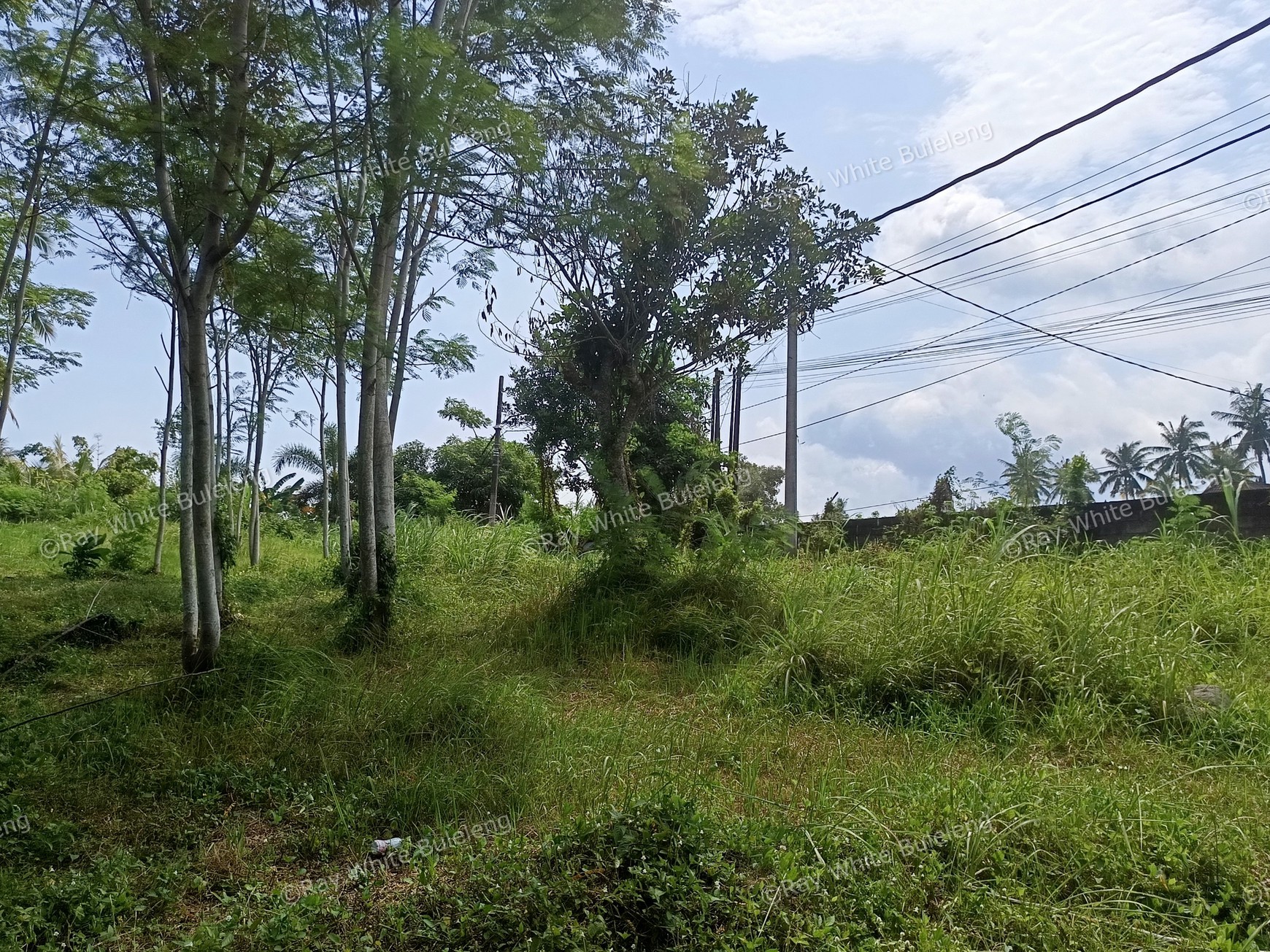 Prime Commercial Land in West Bali For Sale