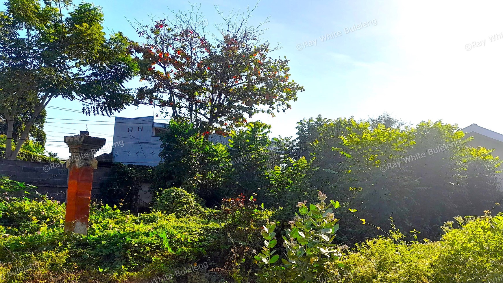 Prime Land For Sale In Kaliuntu, Singaraja City Center