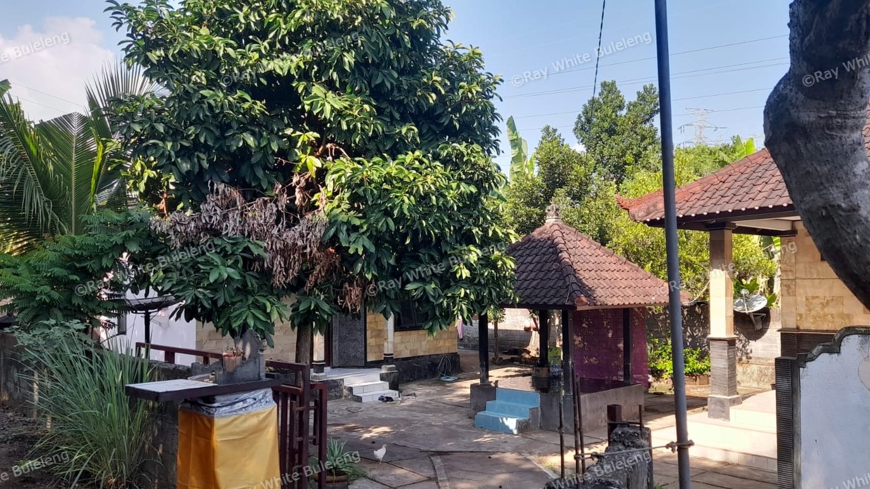 Low Budget House with Expansive Land in Panji Anom