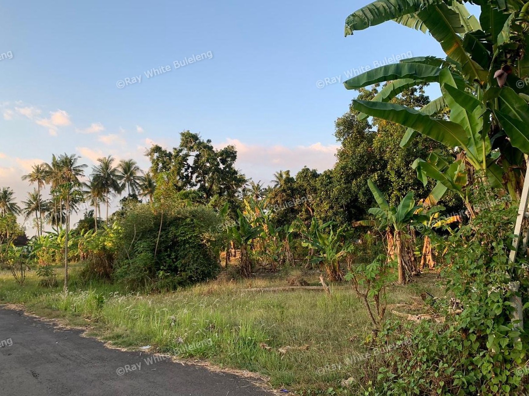 Profitable Leasehold Land in Temukus: Invest in a Location Where Rental Villas Thrive