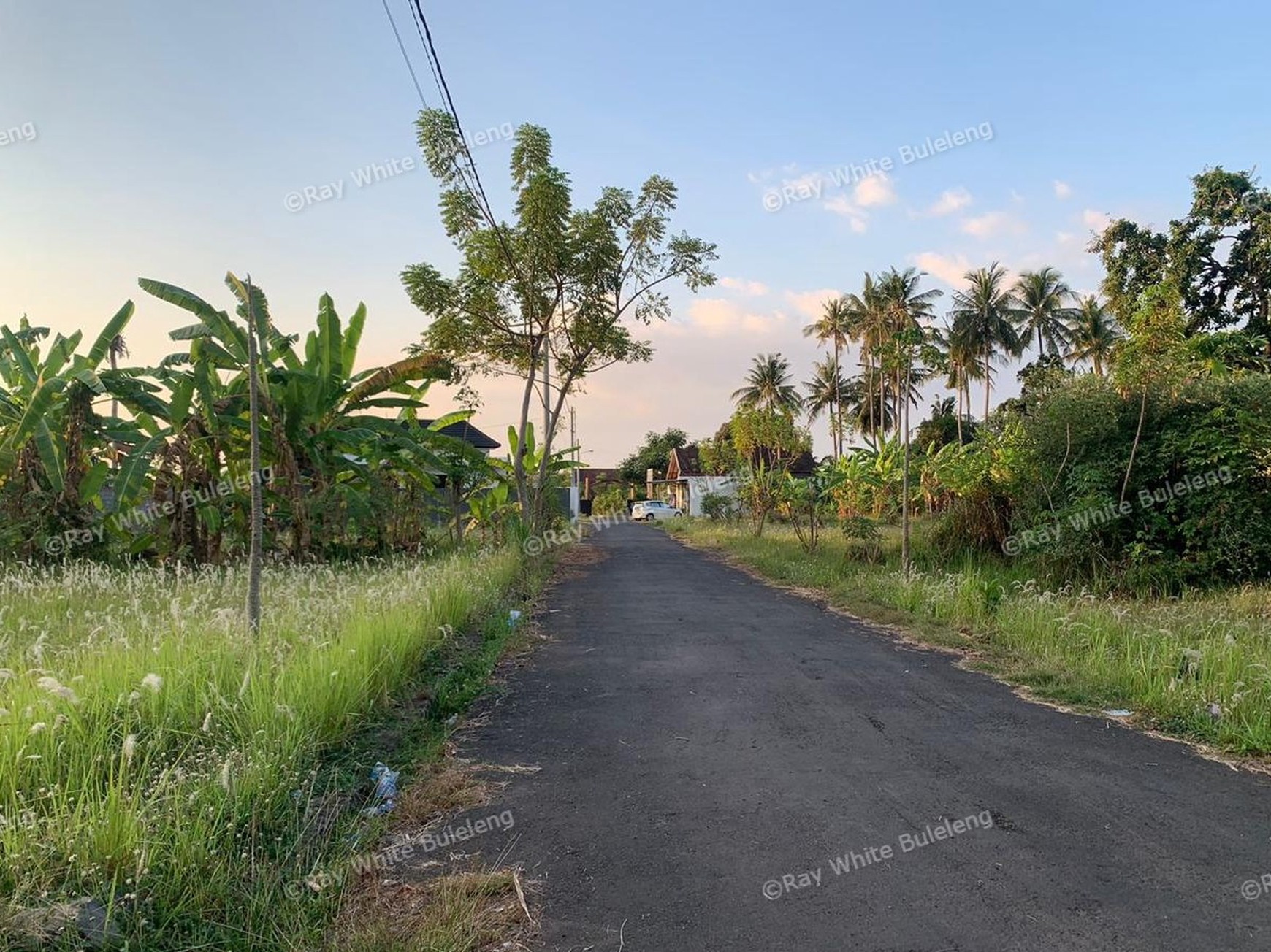 Profitable Leasehold Land in Temukus: Invest in a Location Where Rental Villas Thrive