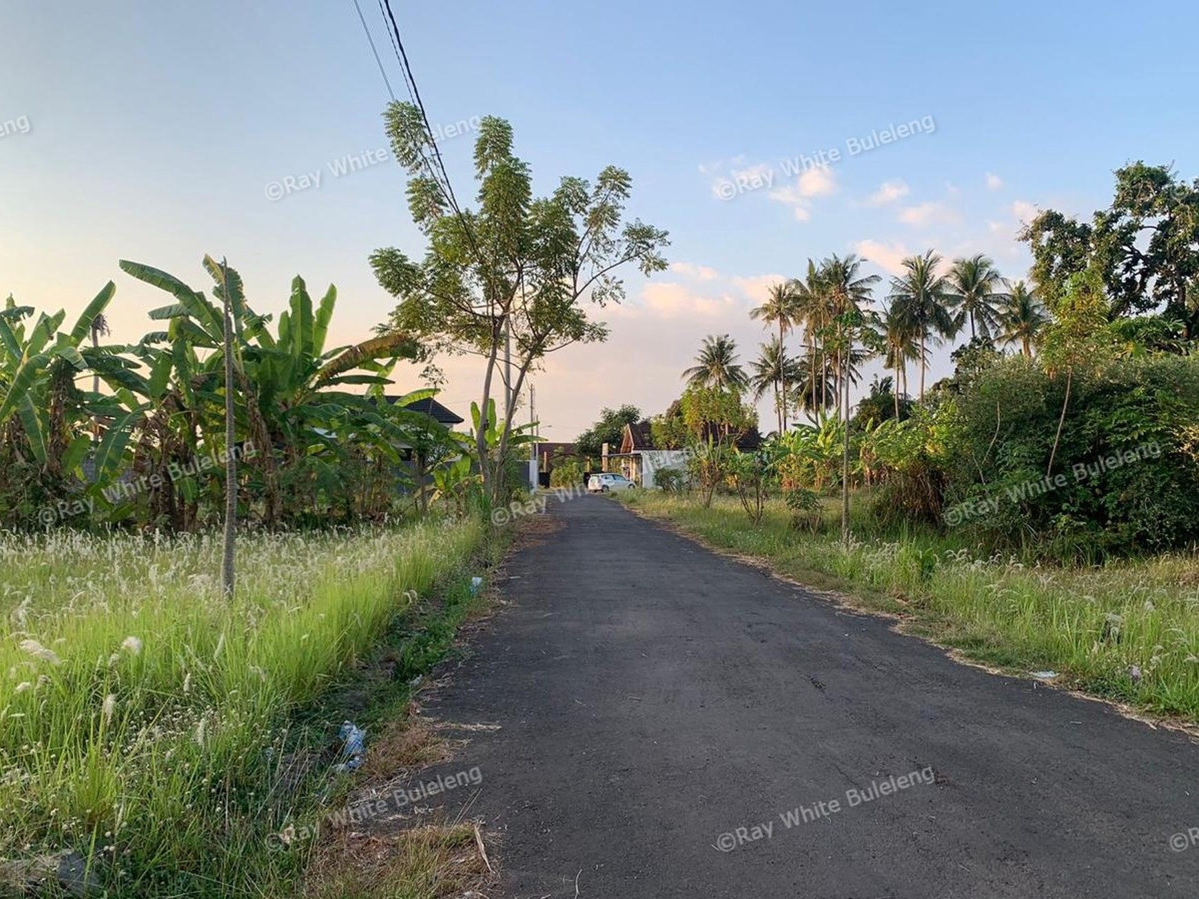 Profitable Leasehold Land in Temukus: Invest in a Location Where Rental Villas Thrive