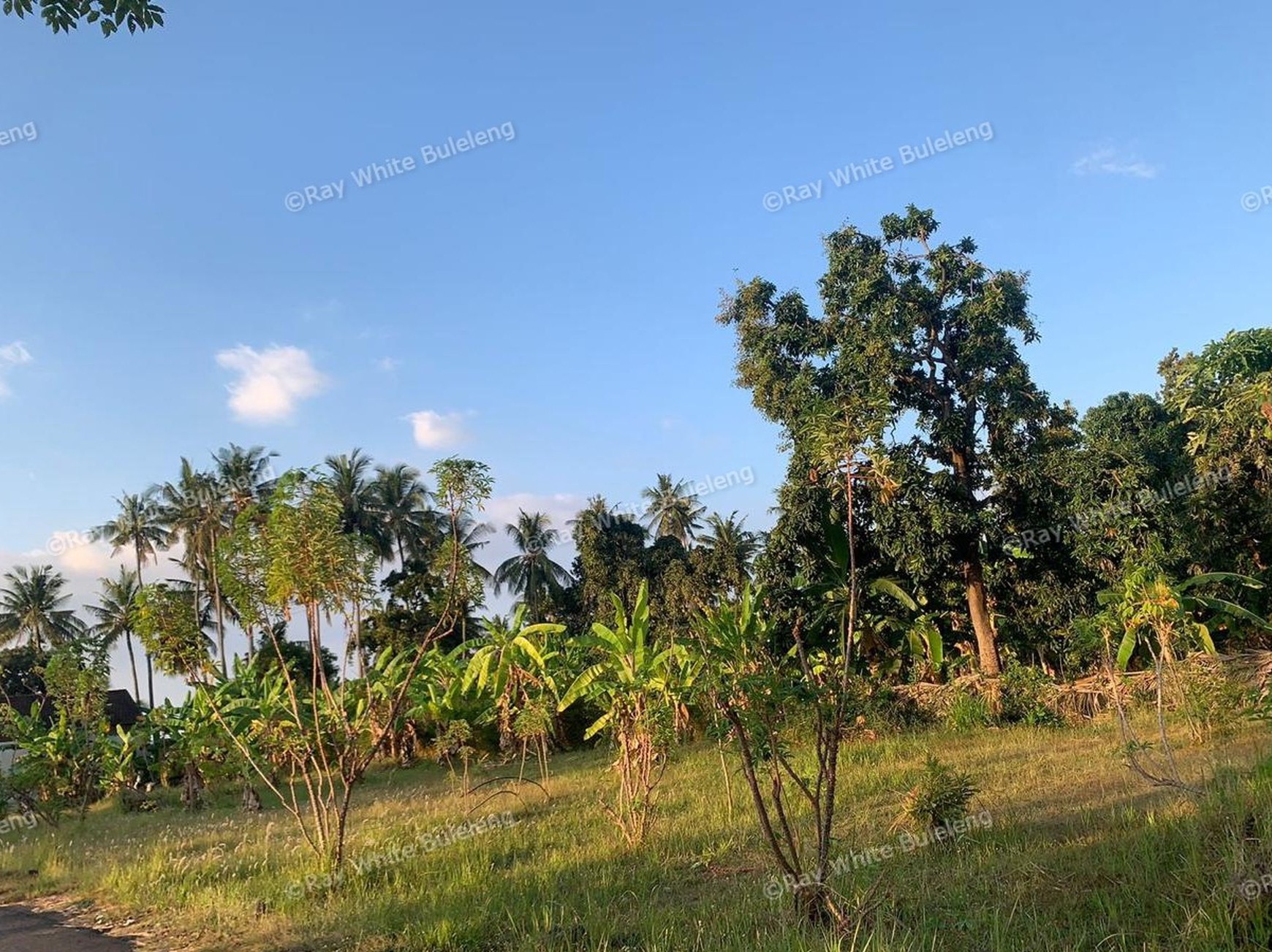 Profitable Leasehold Land in Temukus: Invest in a Location Where Rental Villas Thrive