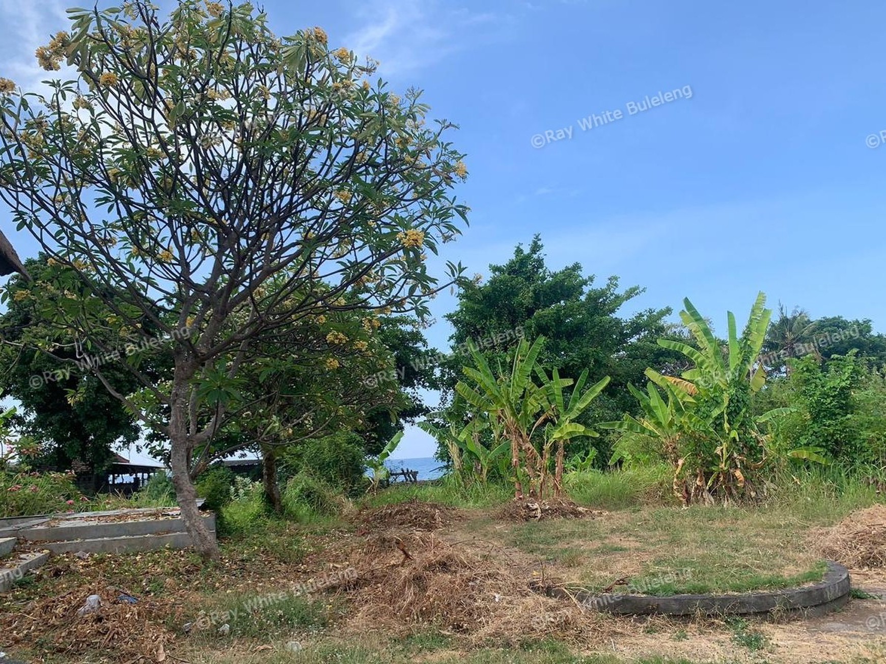 Limited Offer! Hot Sale Stunning Beachfront Land!