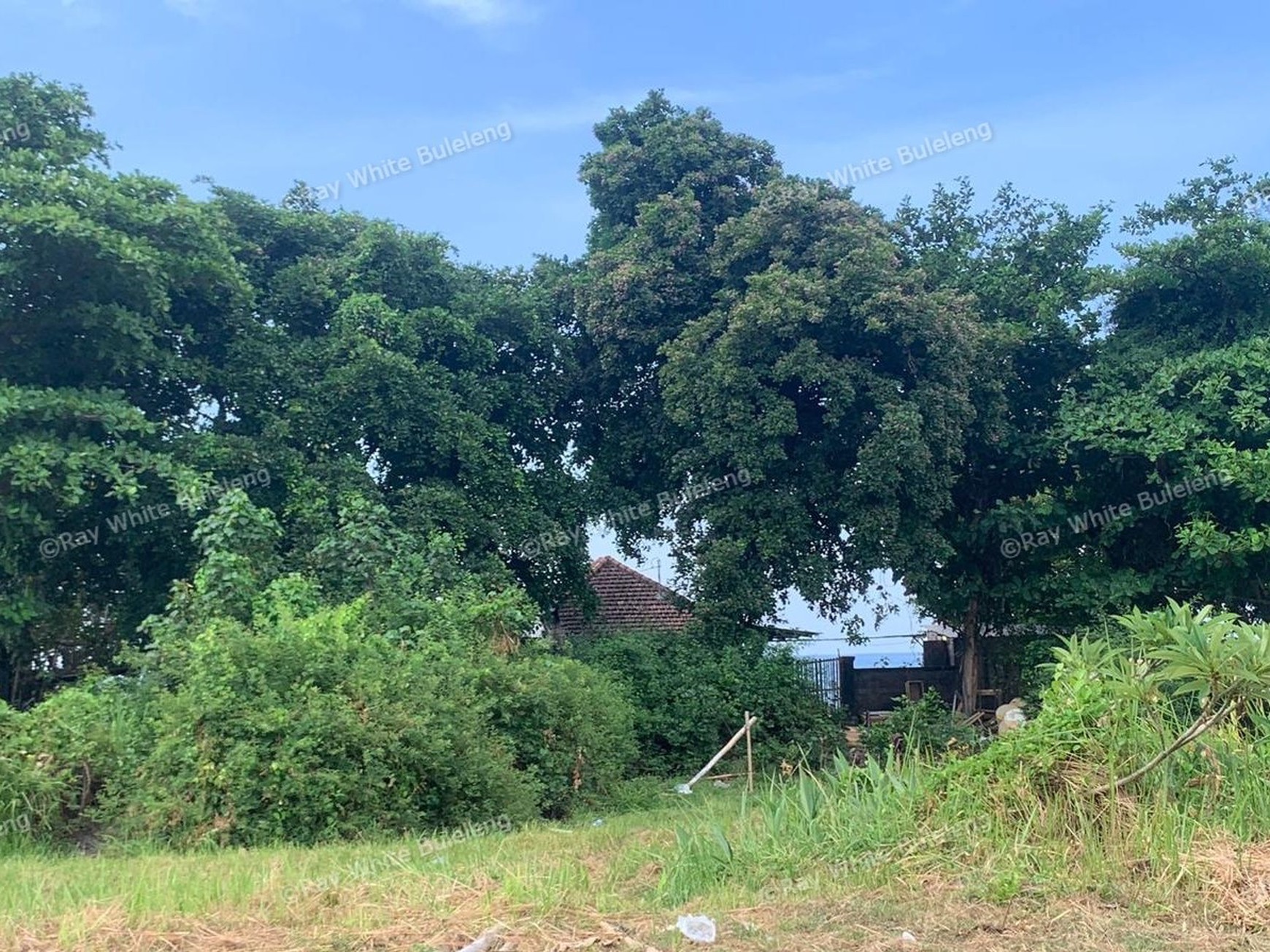 Limited Offer! Hot Sale Stunning Beachfront Land!