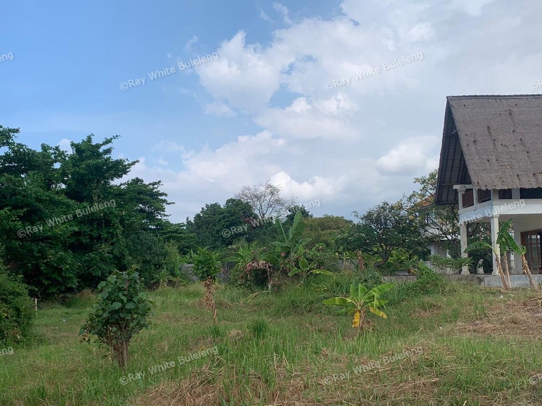 Limited Offer! Hot Sale Stunning Beachfront Land!