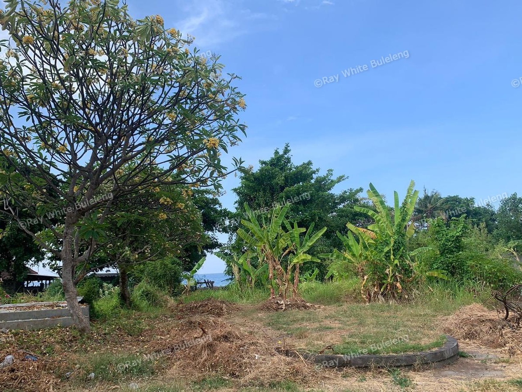 Limited Offer! Hot Sale Stunning Beachfront Land!