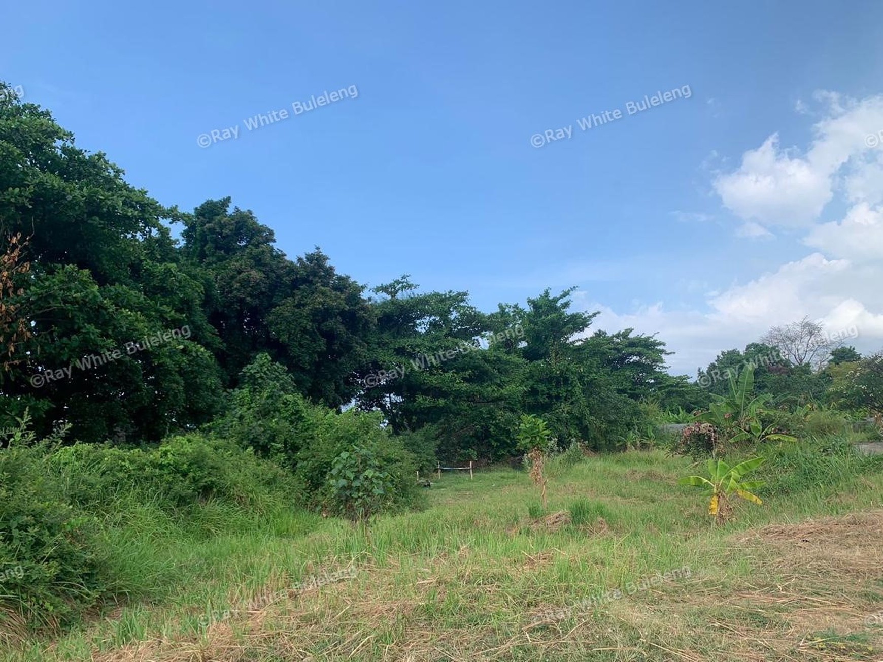 Limited Offer! Hot Sale Stunning Beachfront Land!