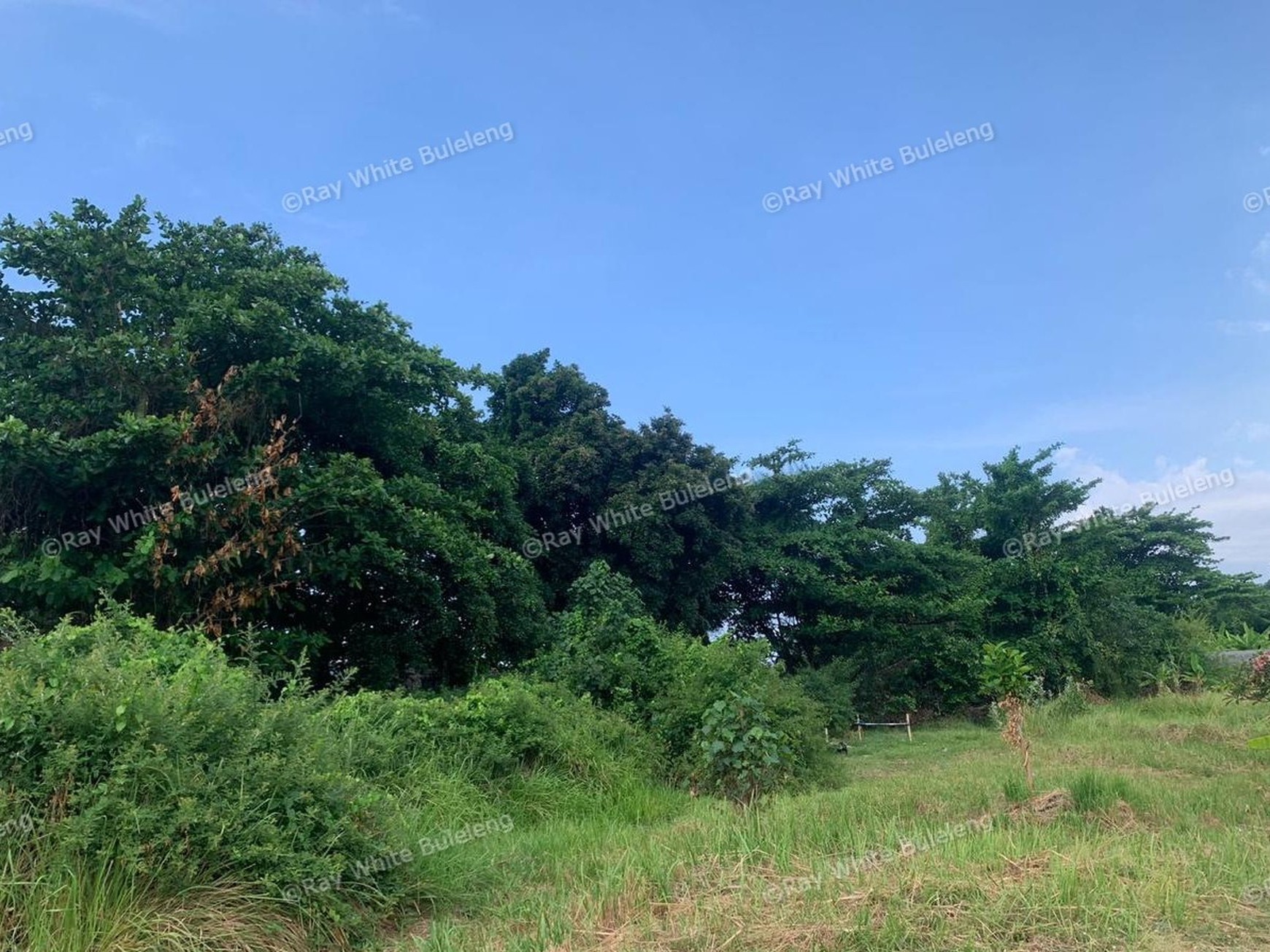 Limited Offer! Hot Sale Stunning Beachfront Land!