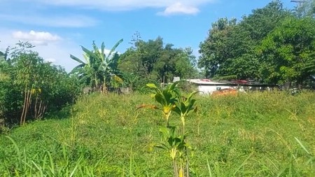 Dijual Tanah di Pamulang, Tangerang Selatan