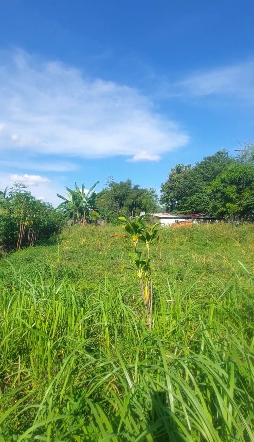 Dijual Tanah di Pamulang, Tangerang Selatan