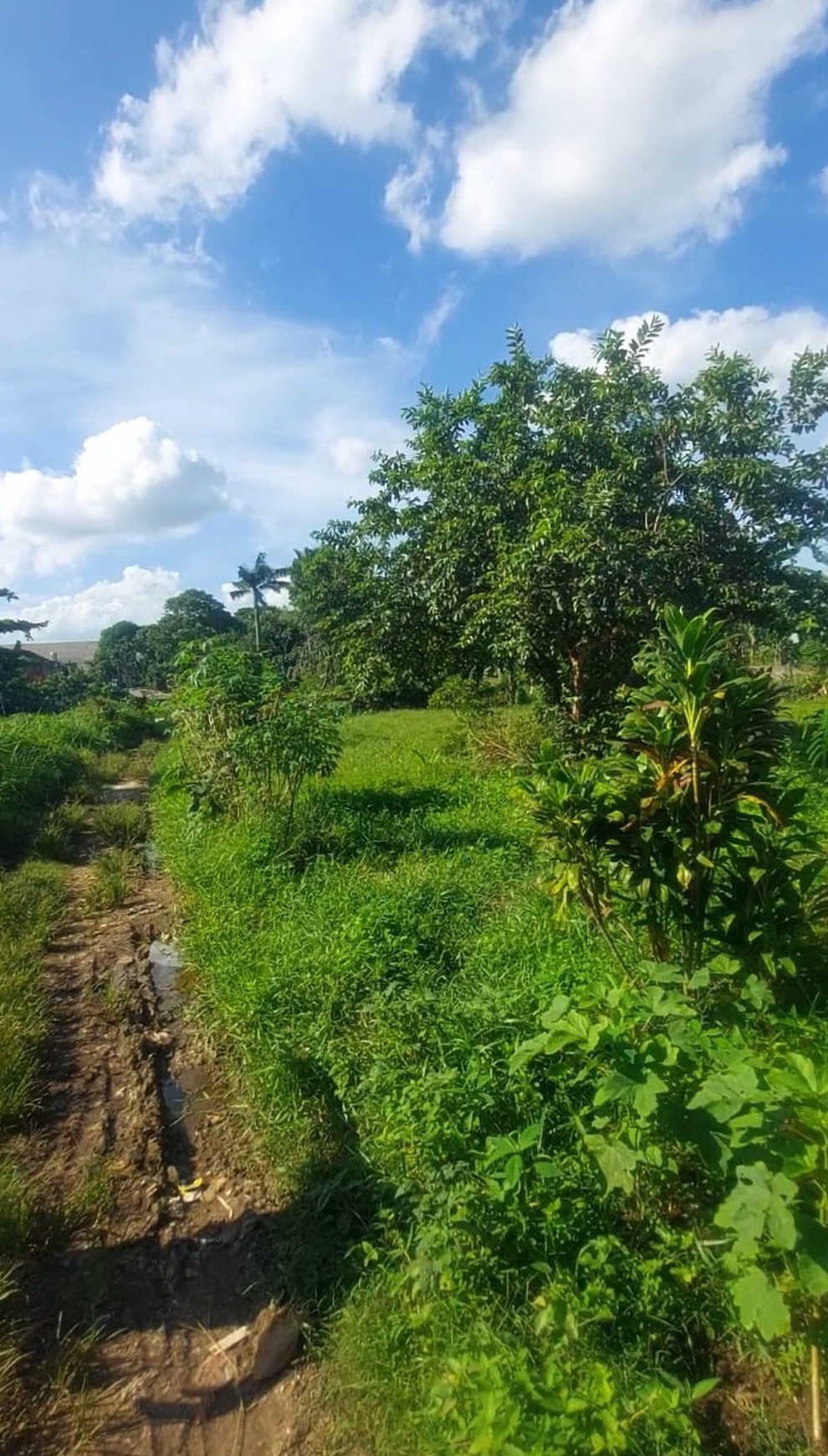 Dijual Tanah di Pamulang, Tangerang Selatan