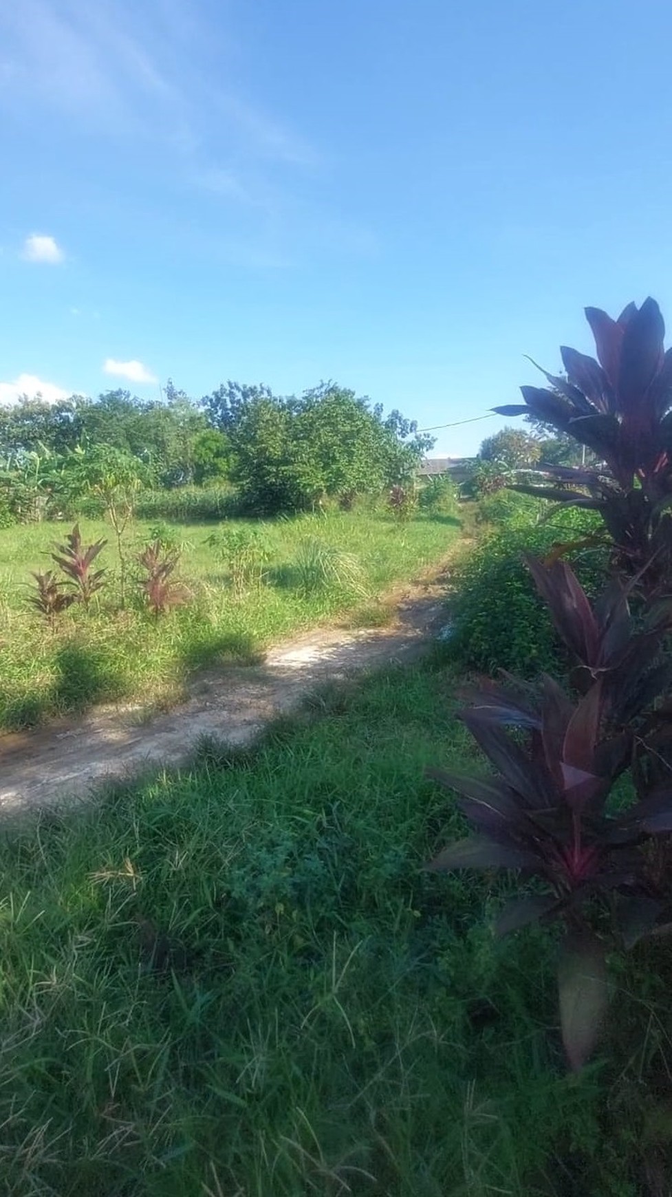 Dijual Tanah di Pamulang, Tangerang Selatan
