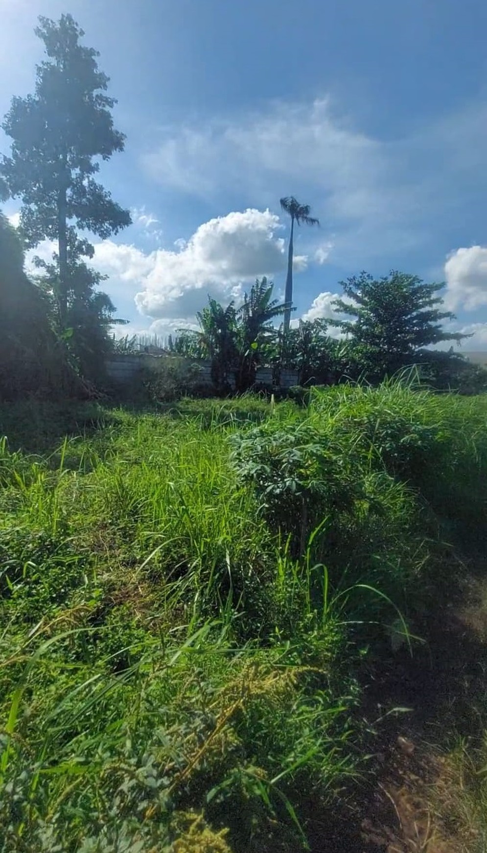 Dijual Tanah di Pamulang, Tangerang Selatan