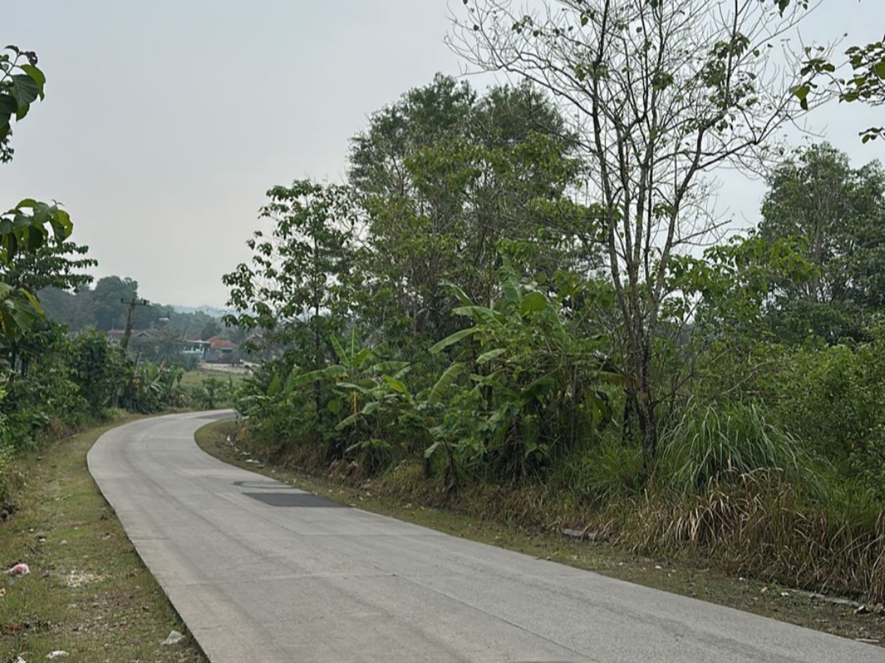 Tanah Luas Murah daerah Loji dan Strategis Pinggir Jalan Raya Karawang - Bogor