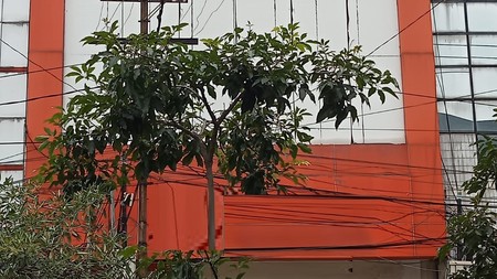 Disewakan Ruko 3 lantai di Jl Kedungdoro Surabaya Pusat