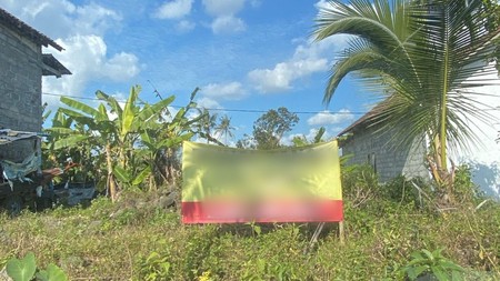 Tanah 1800 Meter Persegi Lokasi Dekat Kampus UII Harjobinangun Pakem Sleman