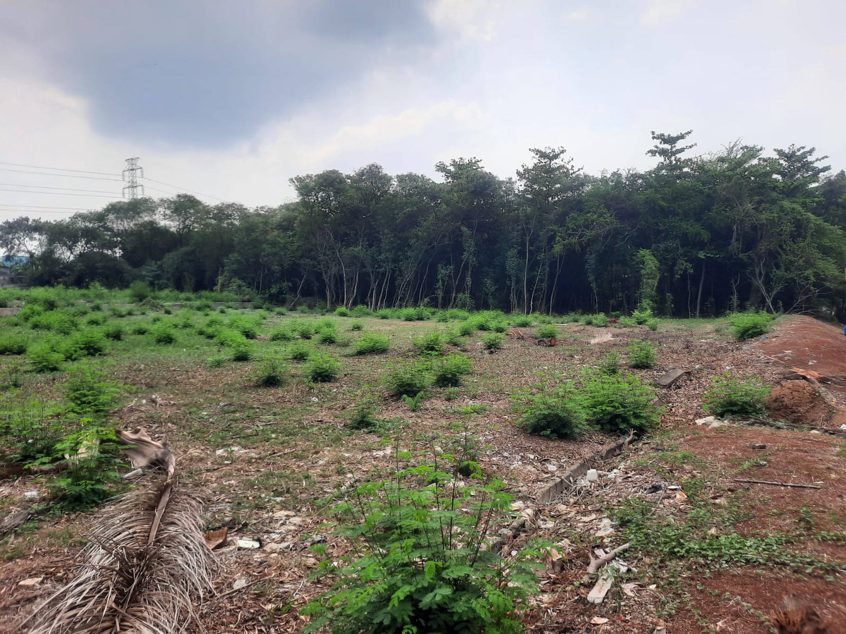 Kavling Tanah di Lippo Cikarang Cibatu Cikarang Selatan