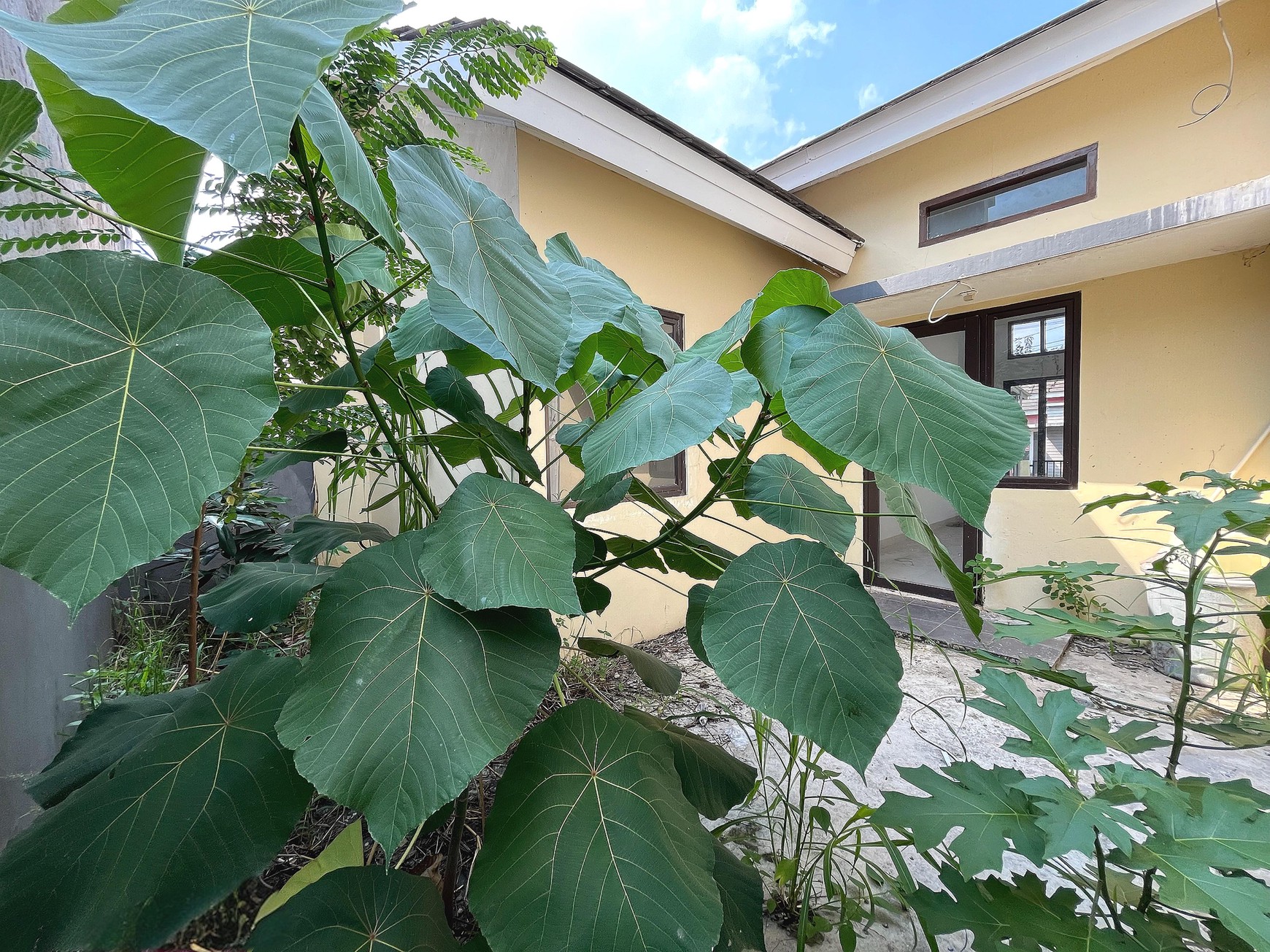 Rumah Siap Huni di Harvest City, Cileungsi, Cibubur