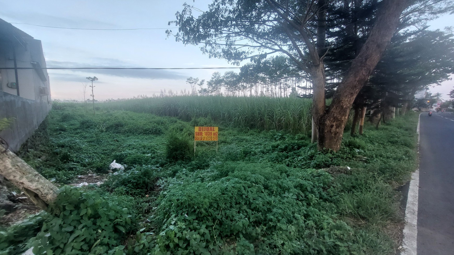 TANAH LUAS & SIAP BANGUN STRATEGIS TEPI JALAN RAYA DI MALANG SELATAN