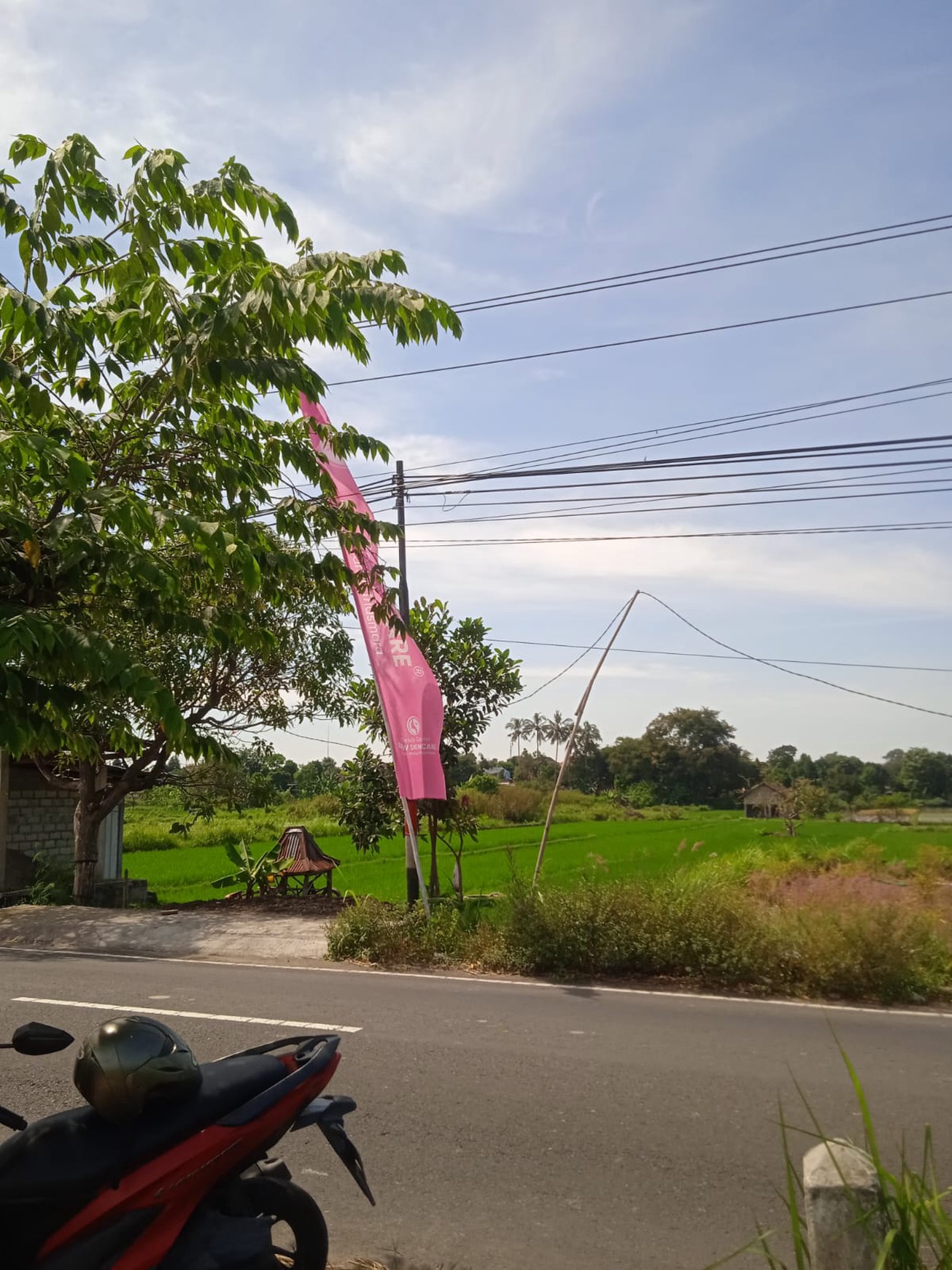 Tanah Sawah 2076 Meter Persegi Lokasi Dekat Candi Prambanan Klaten