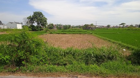 Tanah Sawah 2076 Meter Persegi Lokasi Dekat Candi Prambanan Klaten