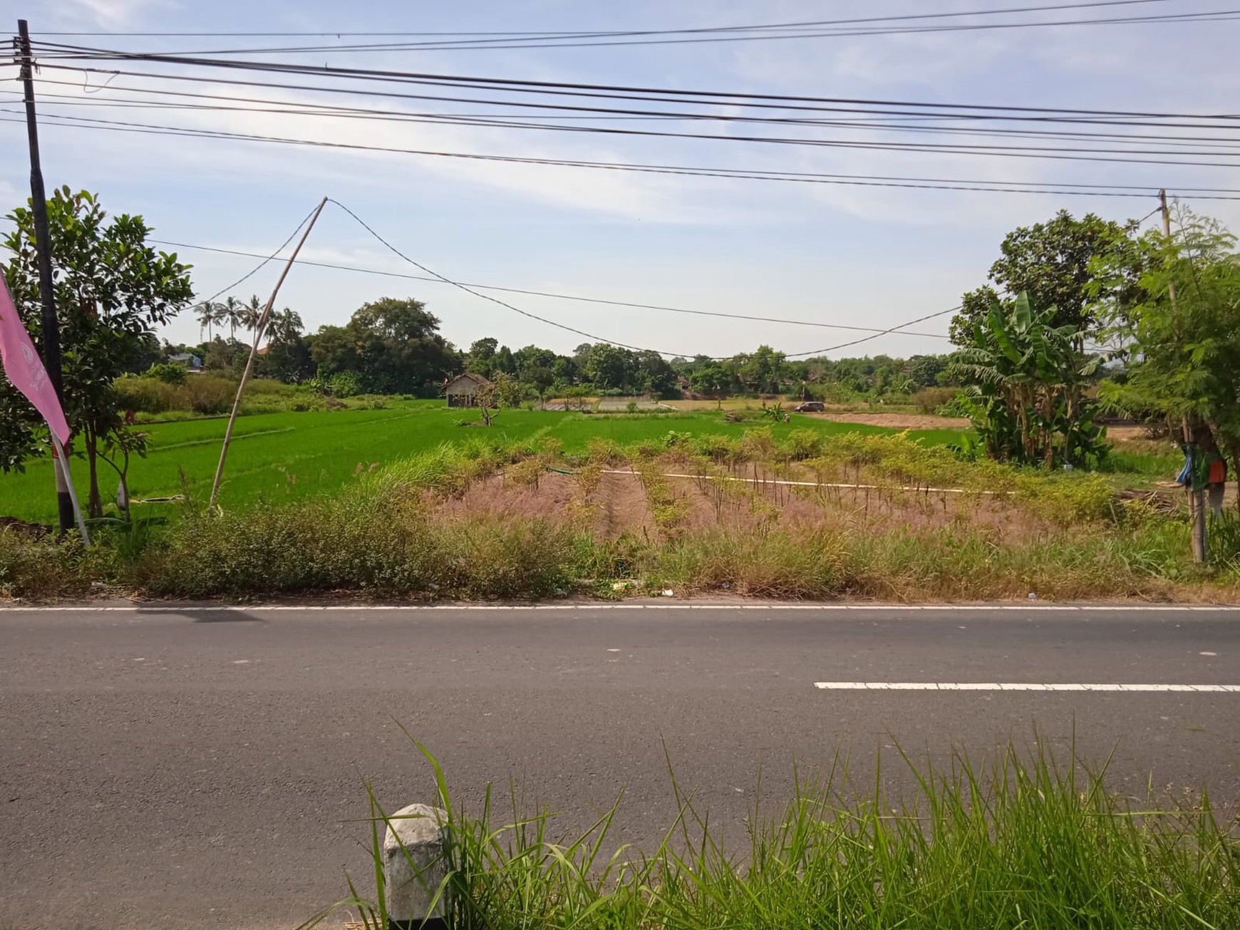 Tanah Sawah 2076 Meter Persegi Lokasi Dekat Candi Prambanan Klaten