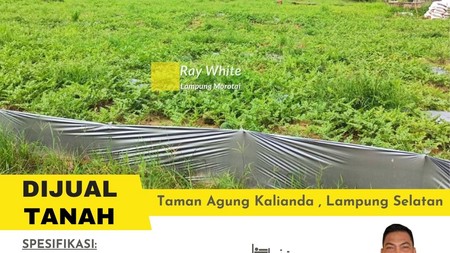 dijual tanah murah taman agung kalianda lampung selatan