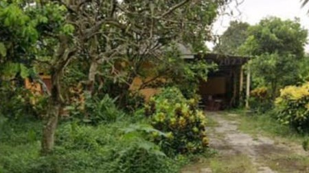 Kavling Siap Bangun di Parung Bogor Jawa Barat