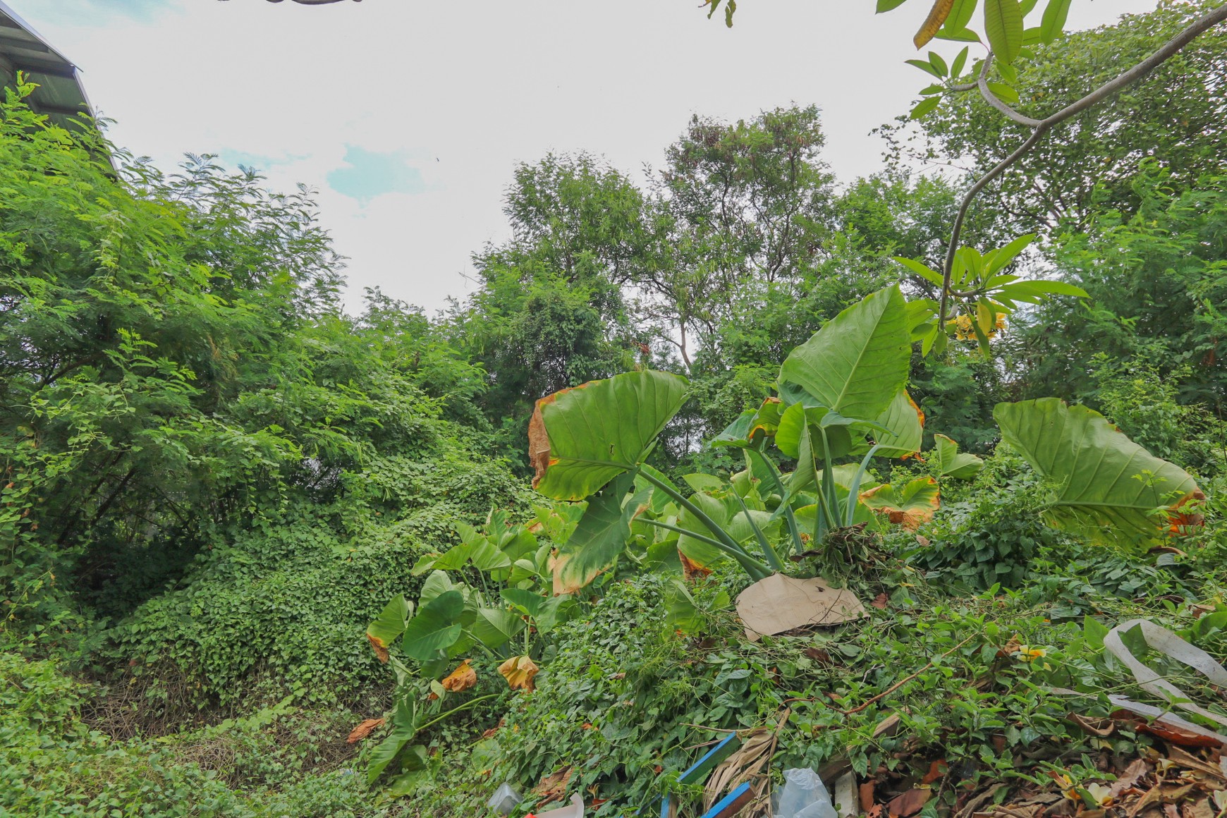 GUDANG KAWASAN INDUSTRI PULO GADUNG ( JIEP ), STRATEGIS, AKSES MUDAH KE KELAPA GADING, CAKUNG